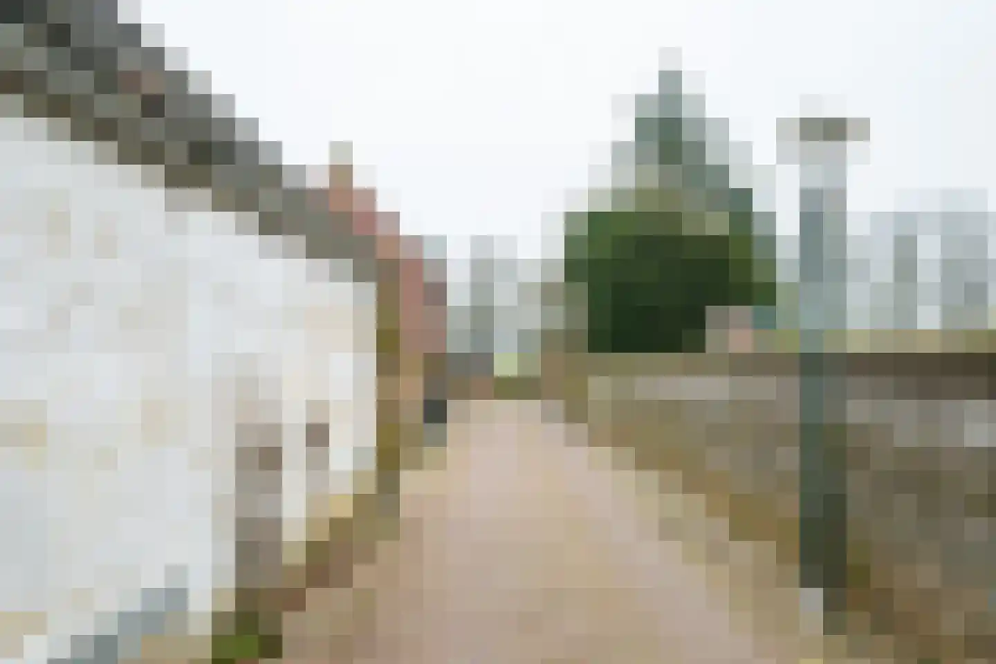 Oudste Poortstraat 4 's-Heerenberg thumbnail 57
