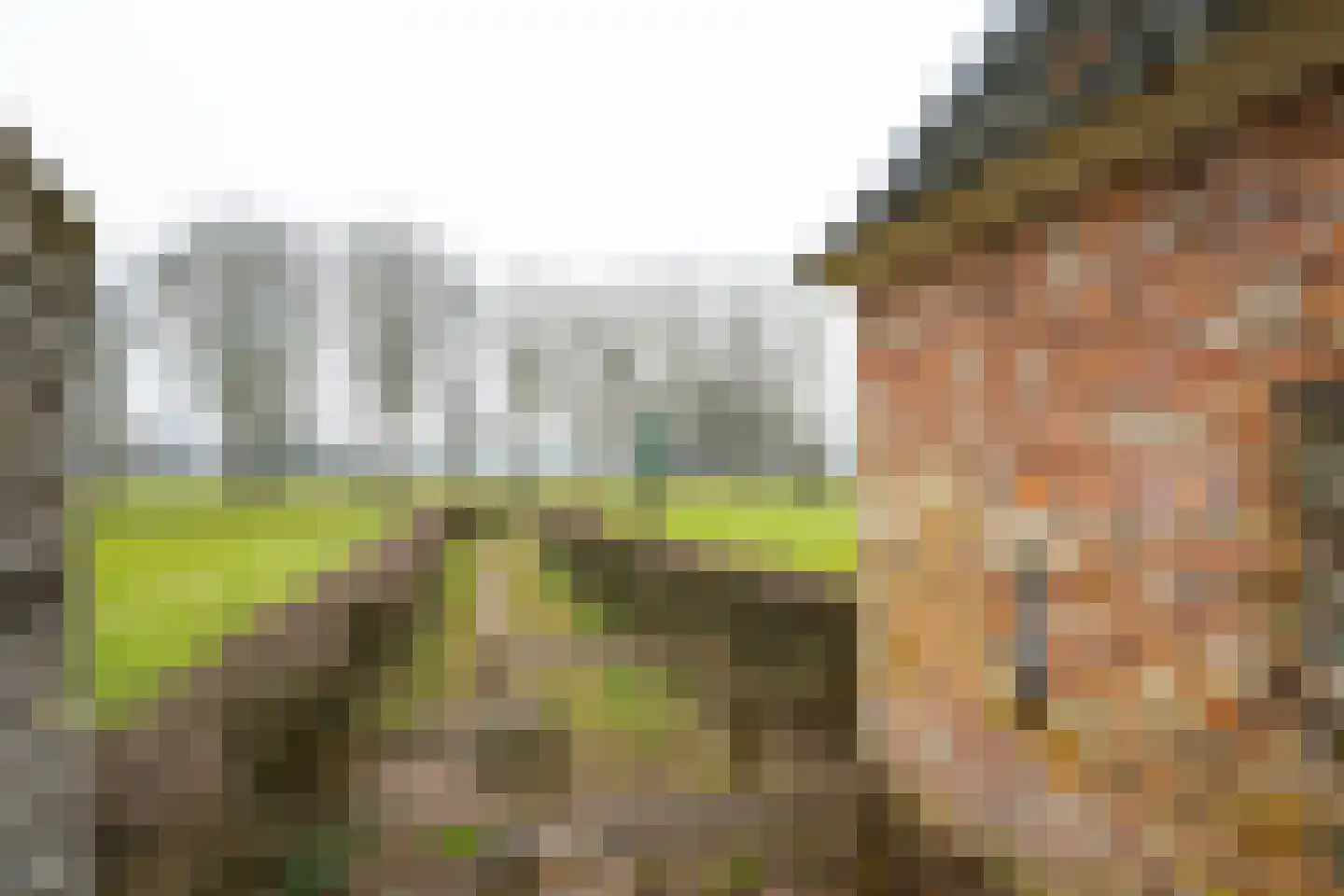 Oudste Poortstraat 4 's-Heerenberg thumbnail 58