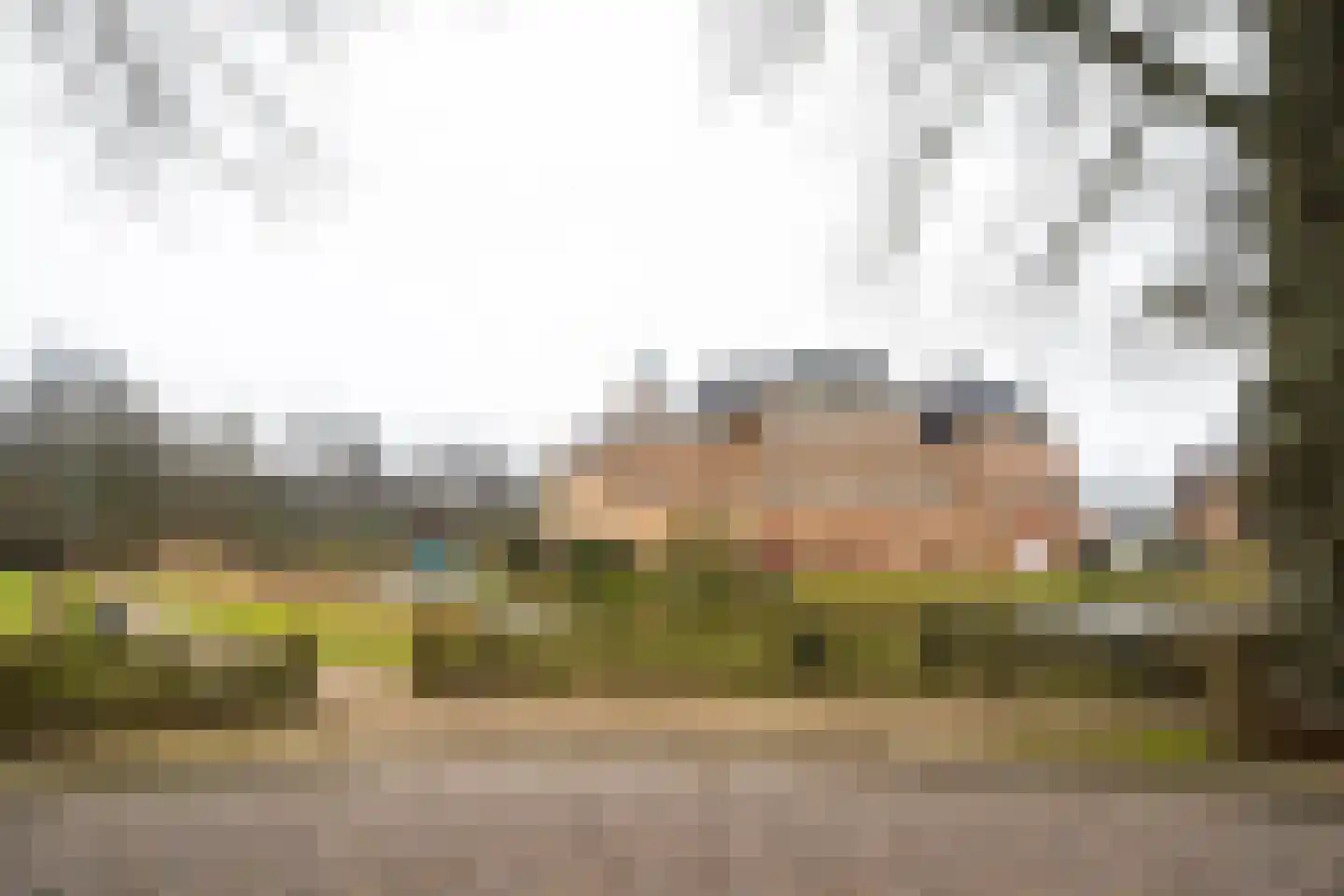 Oudste Poortstraat 4 's-Heerenberg thumbnail 60