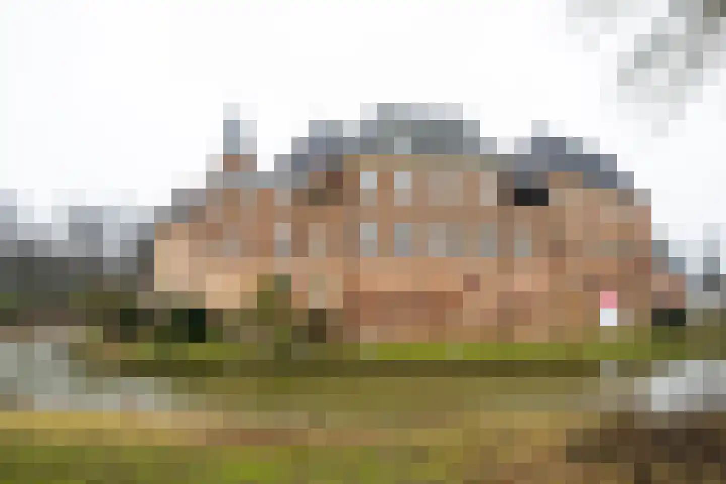 Oudste Poortstraat 4 's-Heerenberg thumbnail 62
