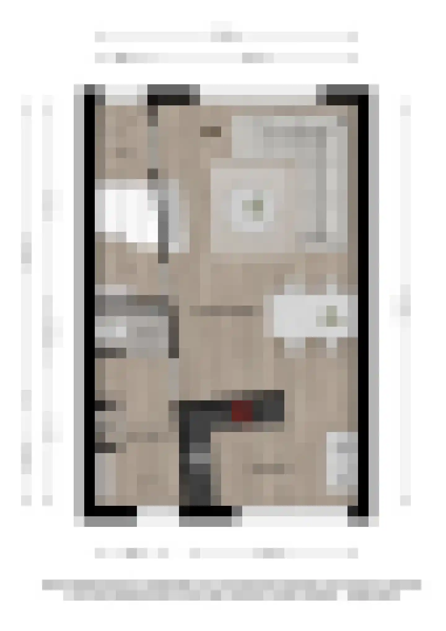 Oudstraat 45 Deventer thumbnail 32