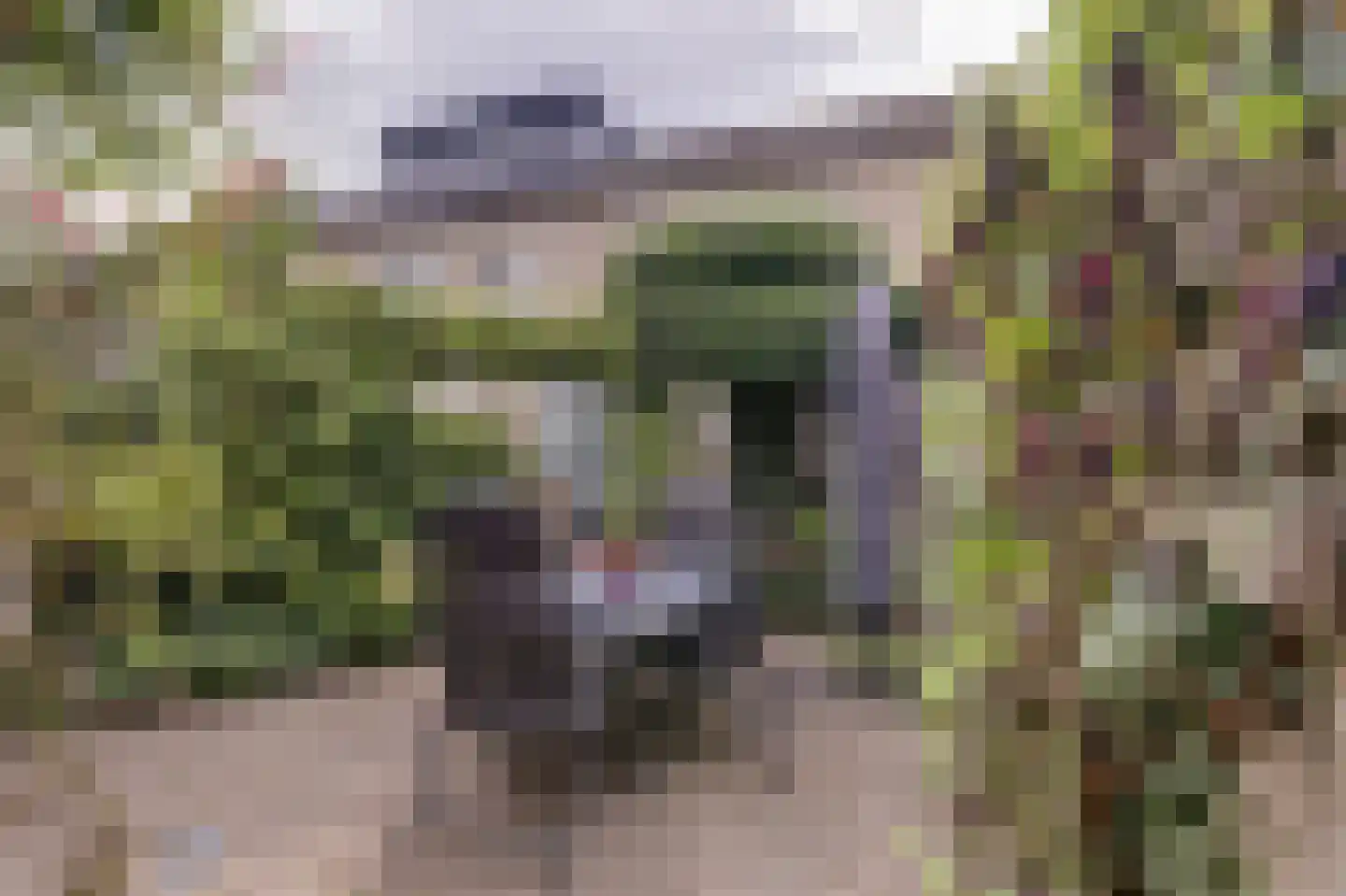 Oudstraat 5 Dongen thumbnail 32