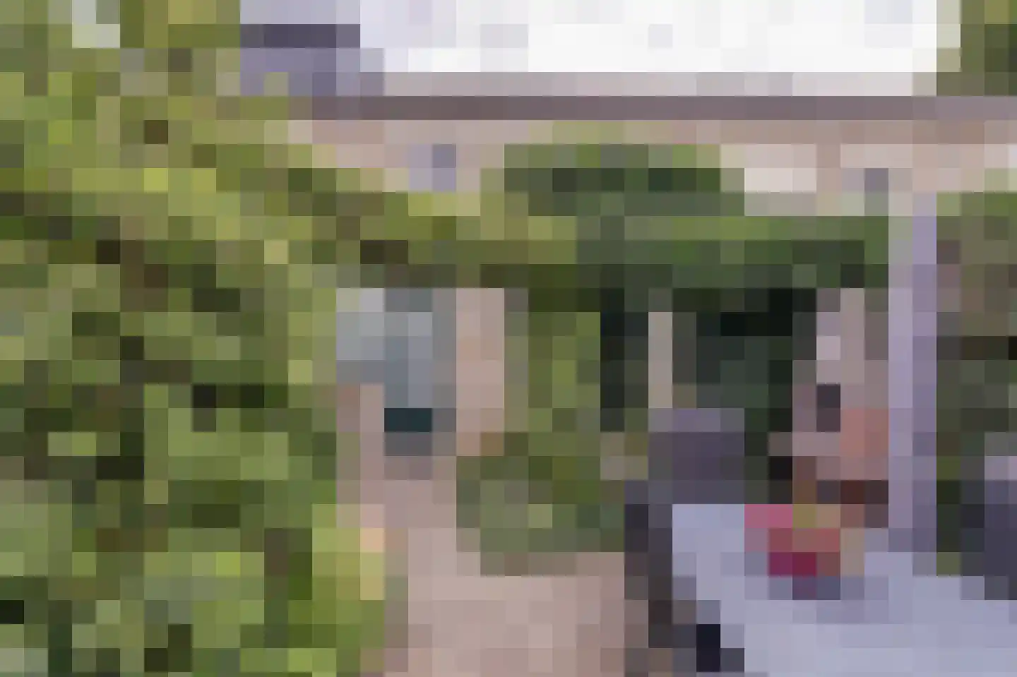 Oudstraat 5 Dongen thumbnail 33