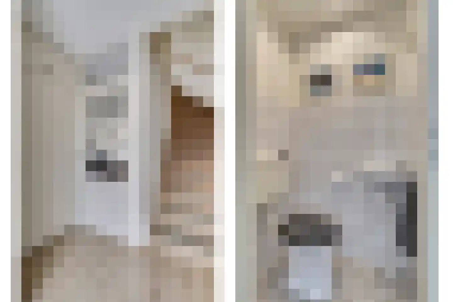 Oudstraat 5 Dongen thumbnail 9