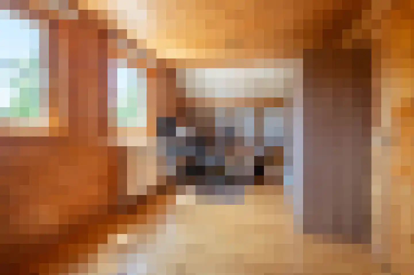 Oudstraat 6 Landgraaf thumbnail 17