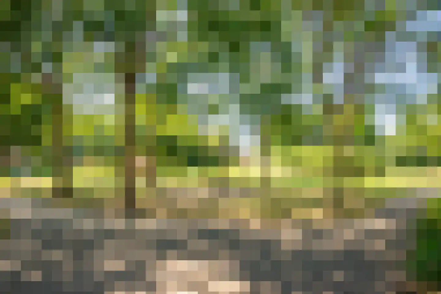 Oudstraat 6 Landgraaf thumbnail 29