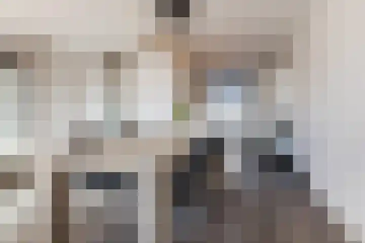 Oudstraat 8 Dongen thumbnail 10