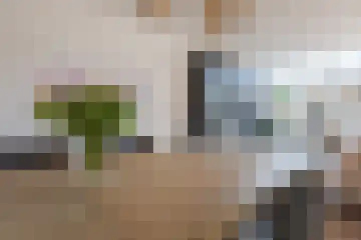 Oudstraat 8 Dongen thumbnail 12