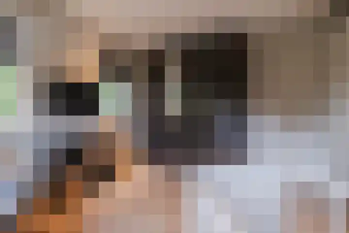 Oudveld 8 Erp thumbnail 35