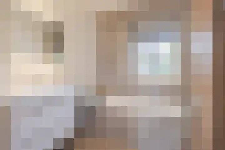 Oudveld 8 Erp thumbnail 36