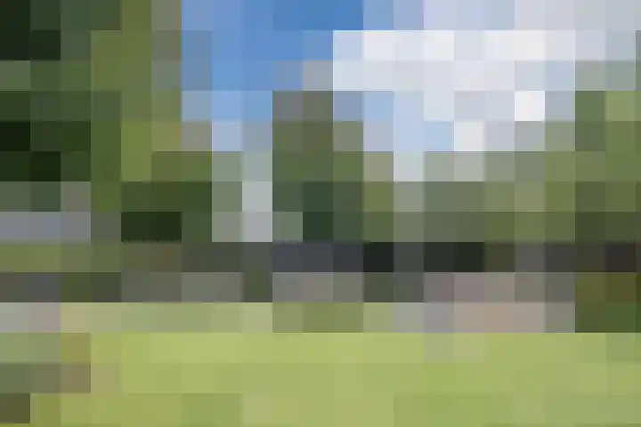 Oudveld 8 Erp thumbnail 46