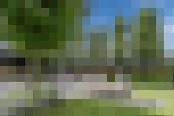 Oudveld 8 Erp thumbnail 51