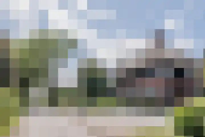 Oudveld 8 Erp thumbnail 56