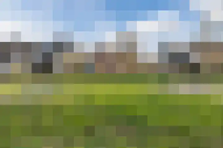Oudveld 8 Erp thumbnail 60