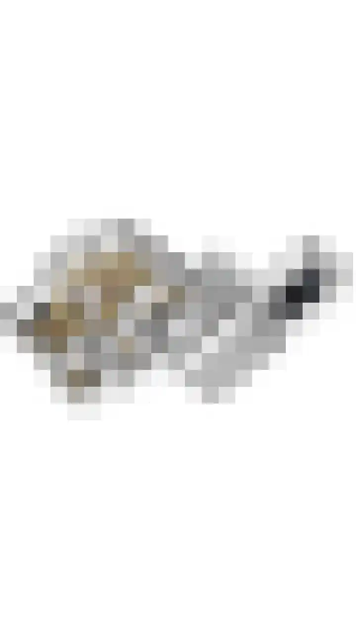 Oudveld 8 Erp thumbnail 66