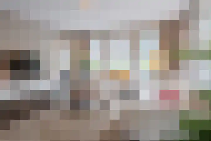 Oudveld 8 Erp thumbnail 7