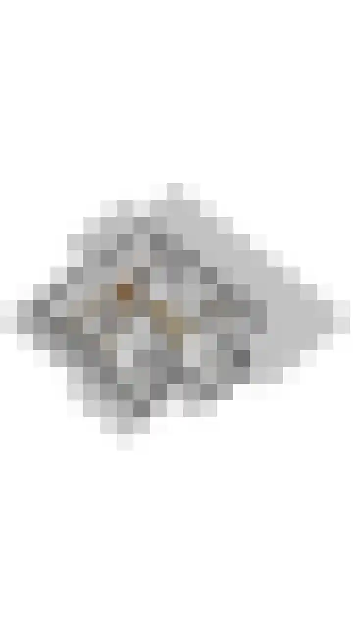 Oudveld 8 Erp thumbnail 70