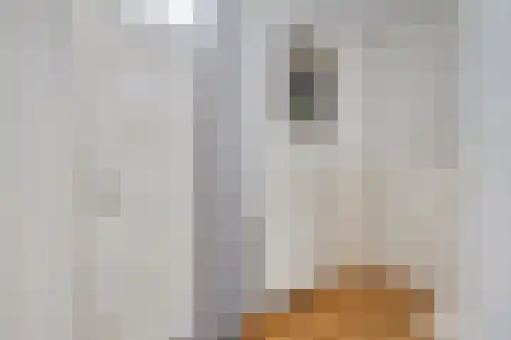 Oudvensestraat 12 Mierlo thumbnail 10