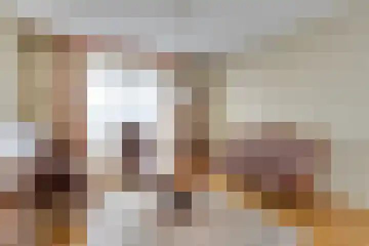 Oudvensestraat 12 Mierlo thumbnail 12