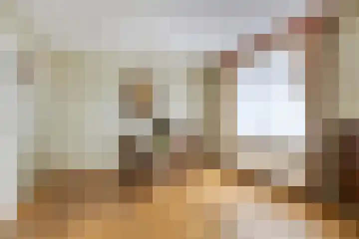 Oudvensestraat 12 Mierlo thumbnail 13