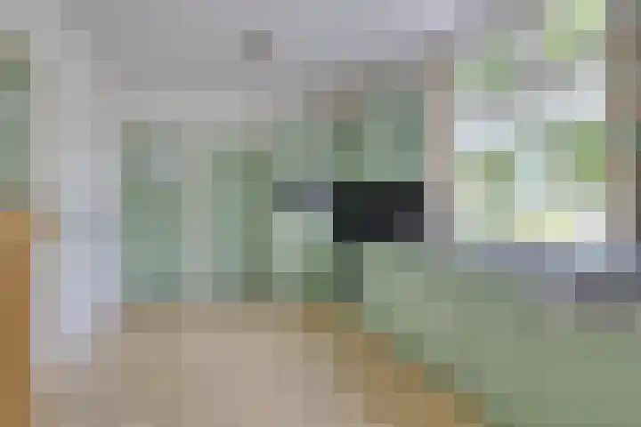 Oudvensestraat 12 Mierlo thumbnail 15