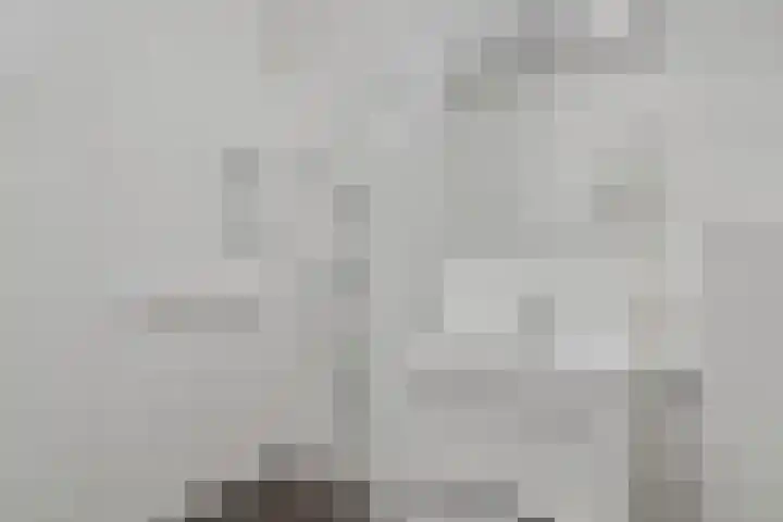 Oudvensestraat 12 Mierlo thumbnail 17