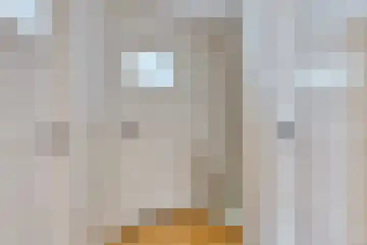 Oudvensestraat 12 Mierlo thumbnail 18
