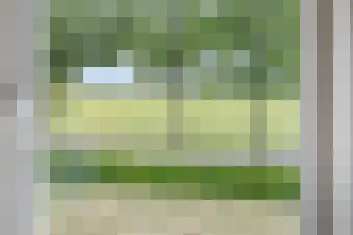 Oudvensestraat 12 Mierlo thumbnail 22