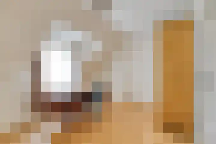 Oudvensestraat 12 Mierlo thumbnail 23