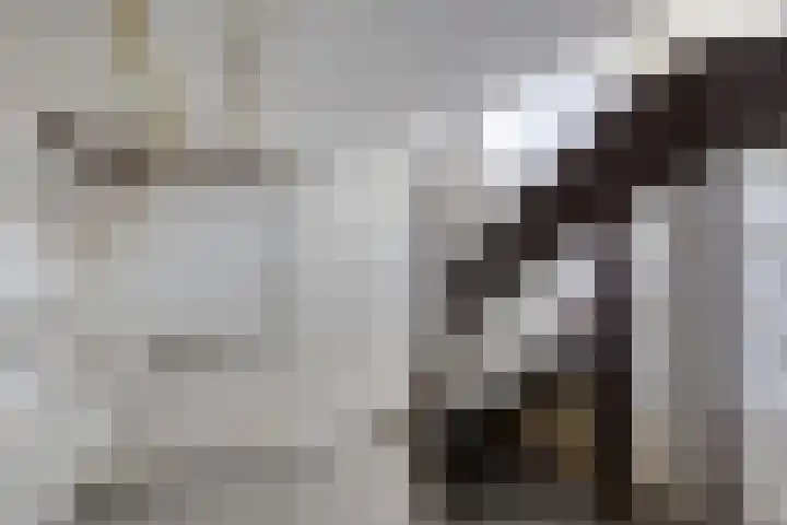 Oudvensestraat 12 Mierlo thumbnail 32