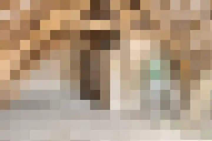Oudvensestraat 12 Mierlo thumbnail 35