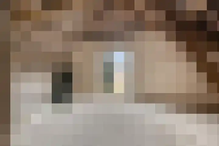 Oudvensestraat 12 Mierlo thumbnail 36
