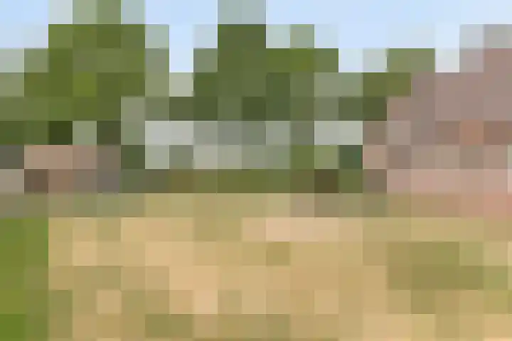 Oudvensestraat 12 Mierlo thumbnail 41
