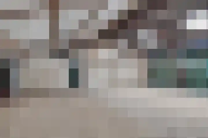 Oudvensestraat 12 Mierlo thumbnail 47