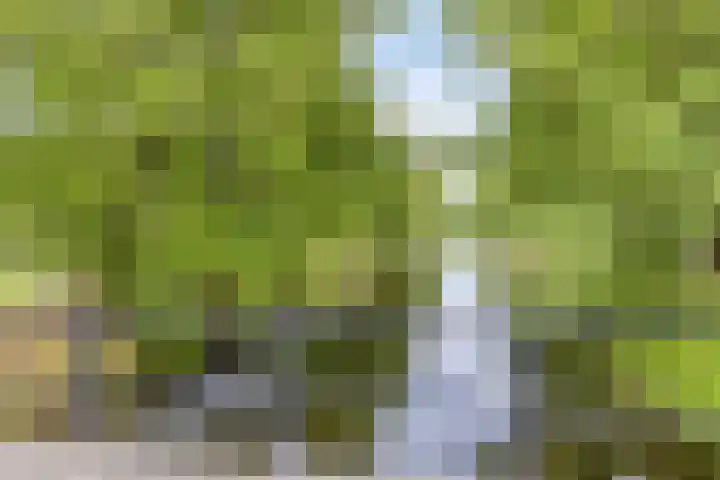 Oudvensestraat 12 Mierlo thumbnail 51