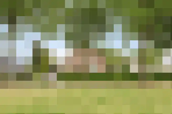 Oudvensestraat 12 Mierlo thumbnail 7