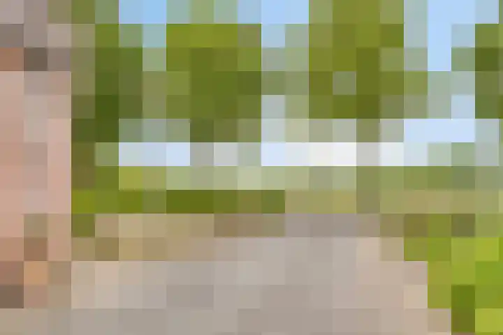 Oudvensestraat 12 Mierlo thumbnail 9