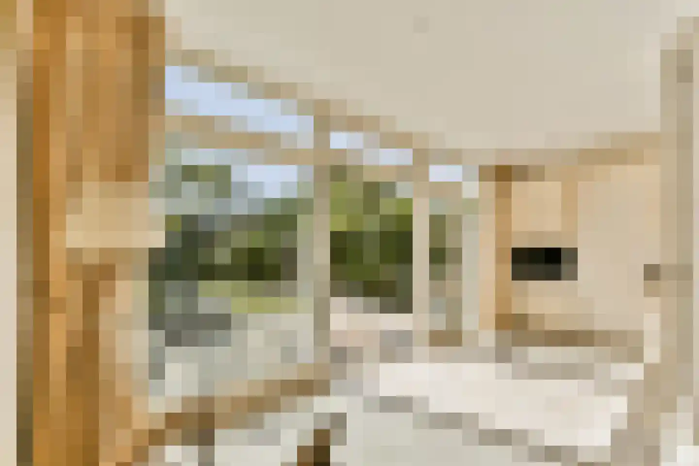Oudwijk 11 Utrecht thumbnail 18