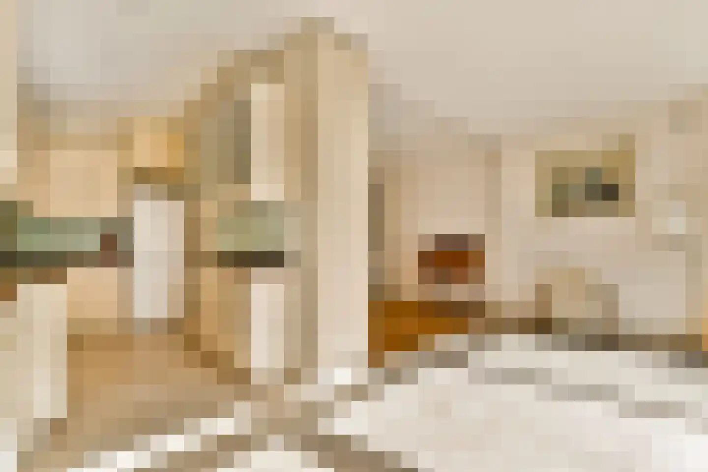 Oudwijk 11 Utrecht thumbnail 19