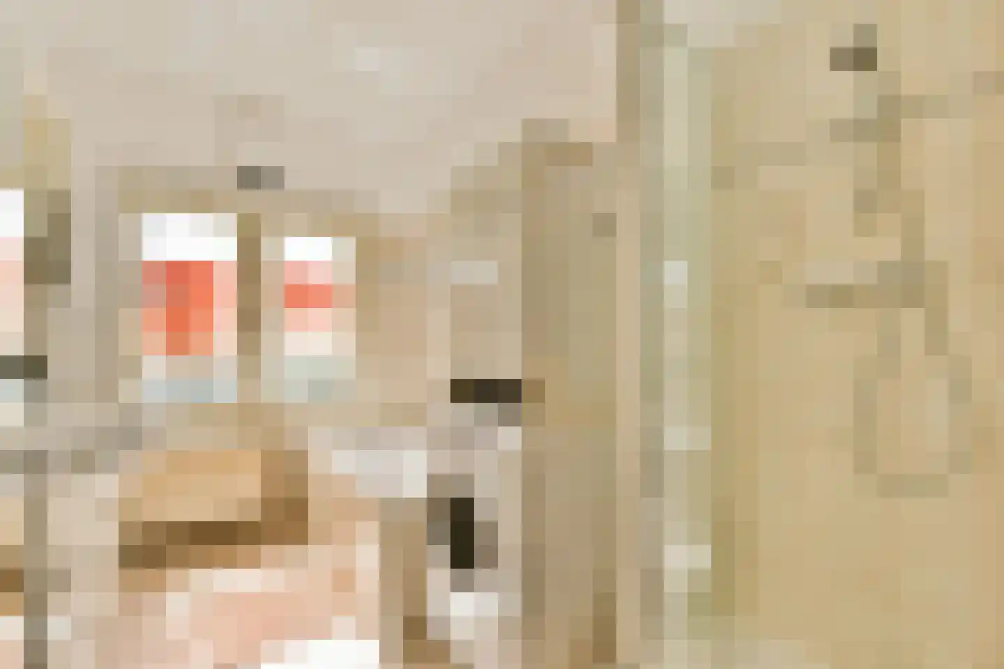 Oudwijk 11 Utrecht thumbnail 35