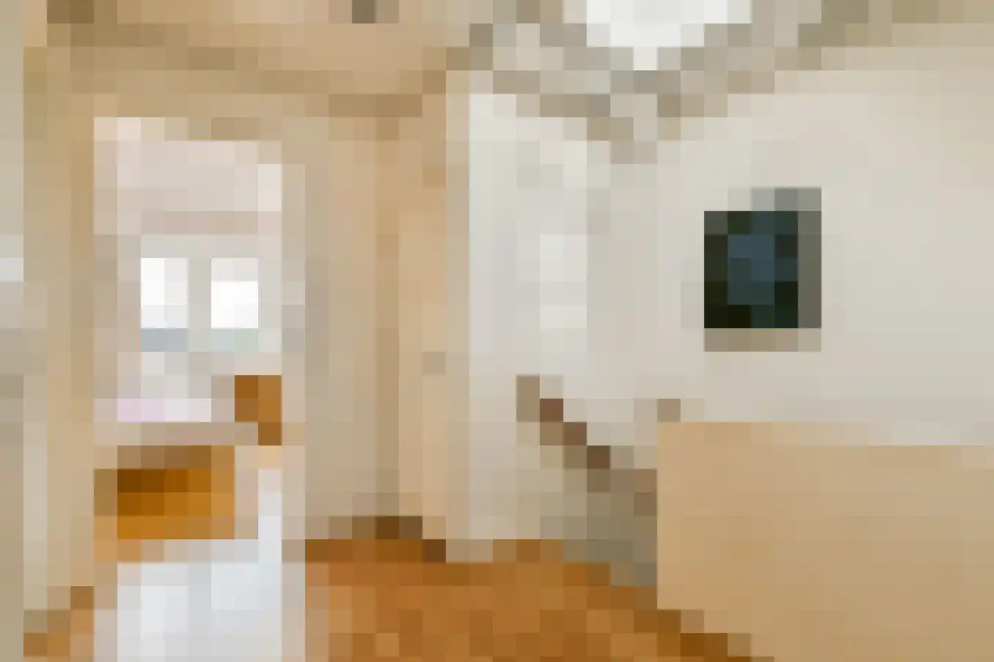 Oudwijk 11 Utrecht thumbnail 41