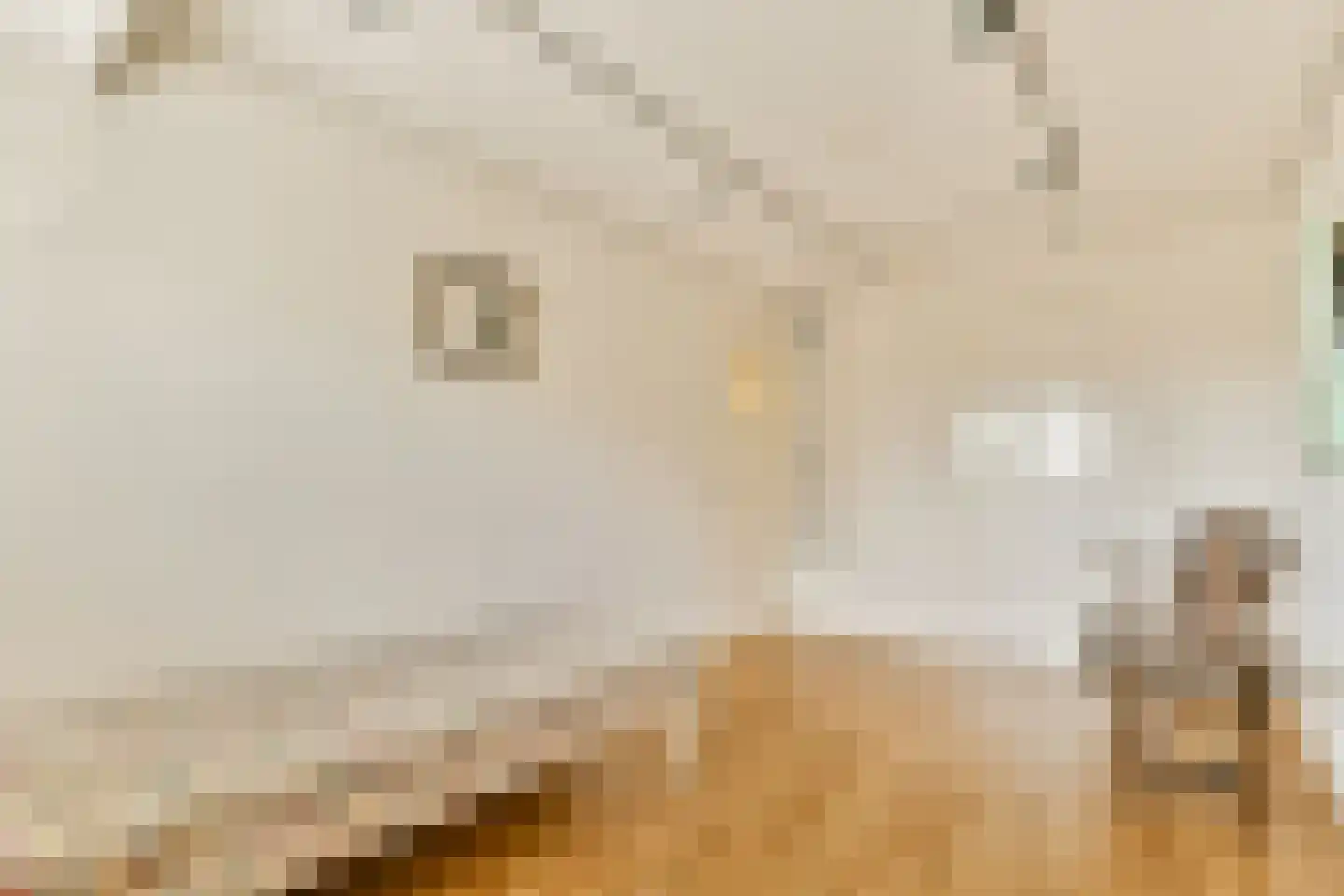 Oudwijk 11 Utrecht thumbnail 43
