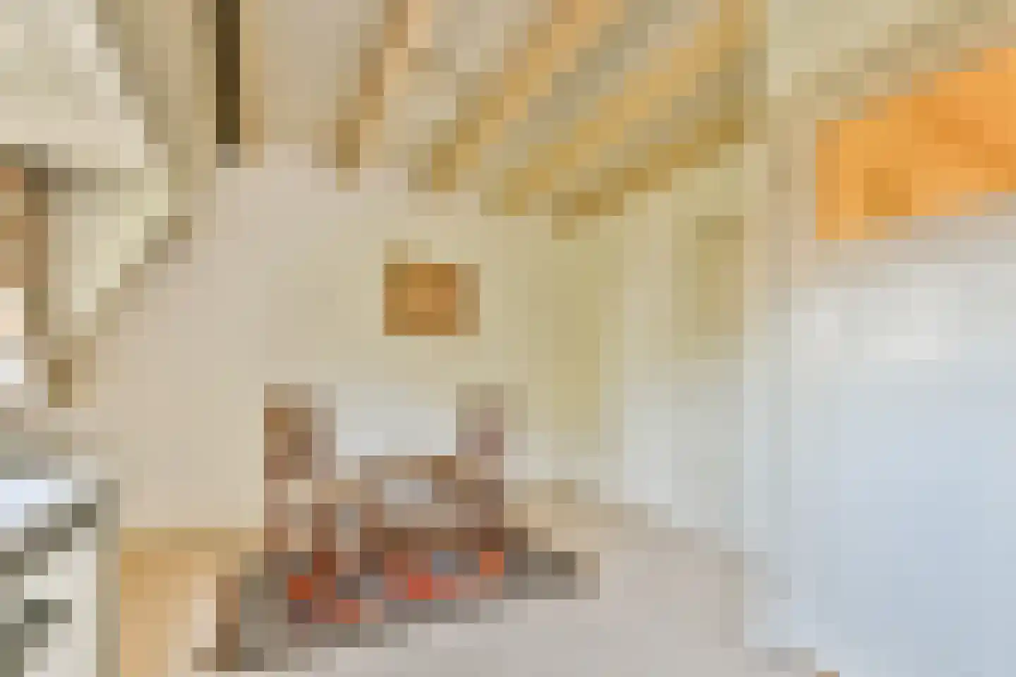 Oudwijk 11 Utrecht thumbnail 45