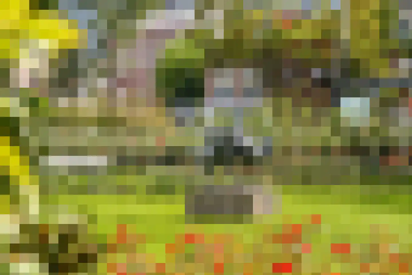 Oudwijk 11 Utrecht thumbnail 53
