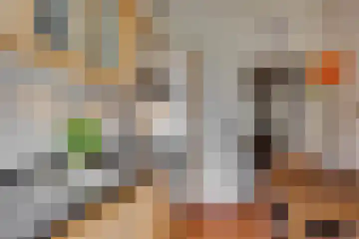 Oudwijk 17 Utrecht thumbnail 14