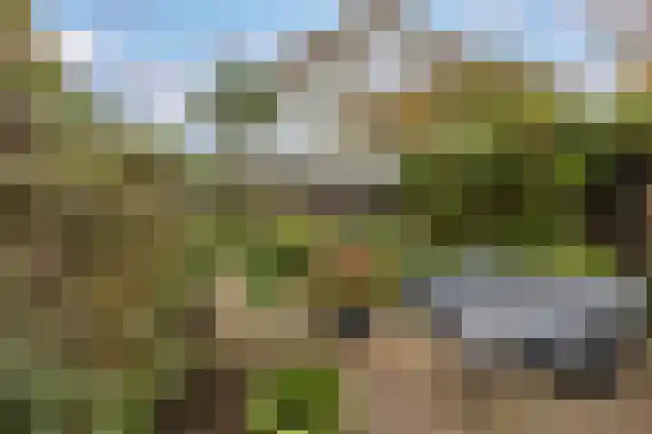 Oudwijk 17 Utrecht thumbnail 17