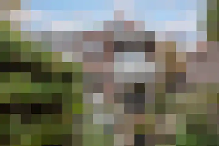 Oudwijk 17 Utrecht thumbnail 18