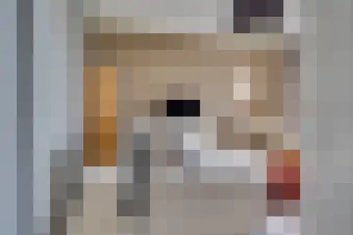 Oudwijk 17 Utrecht thumbnail 22