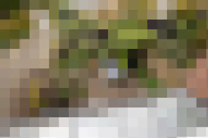 Oudwijk 17 Utrecht thumbnail 25