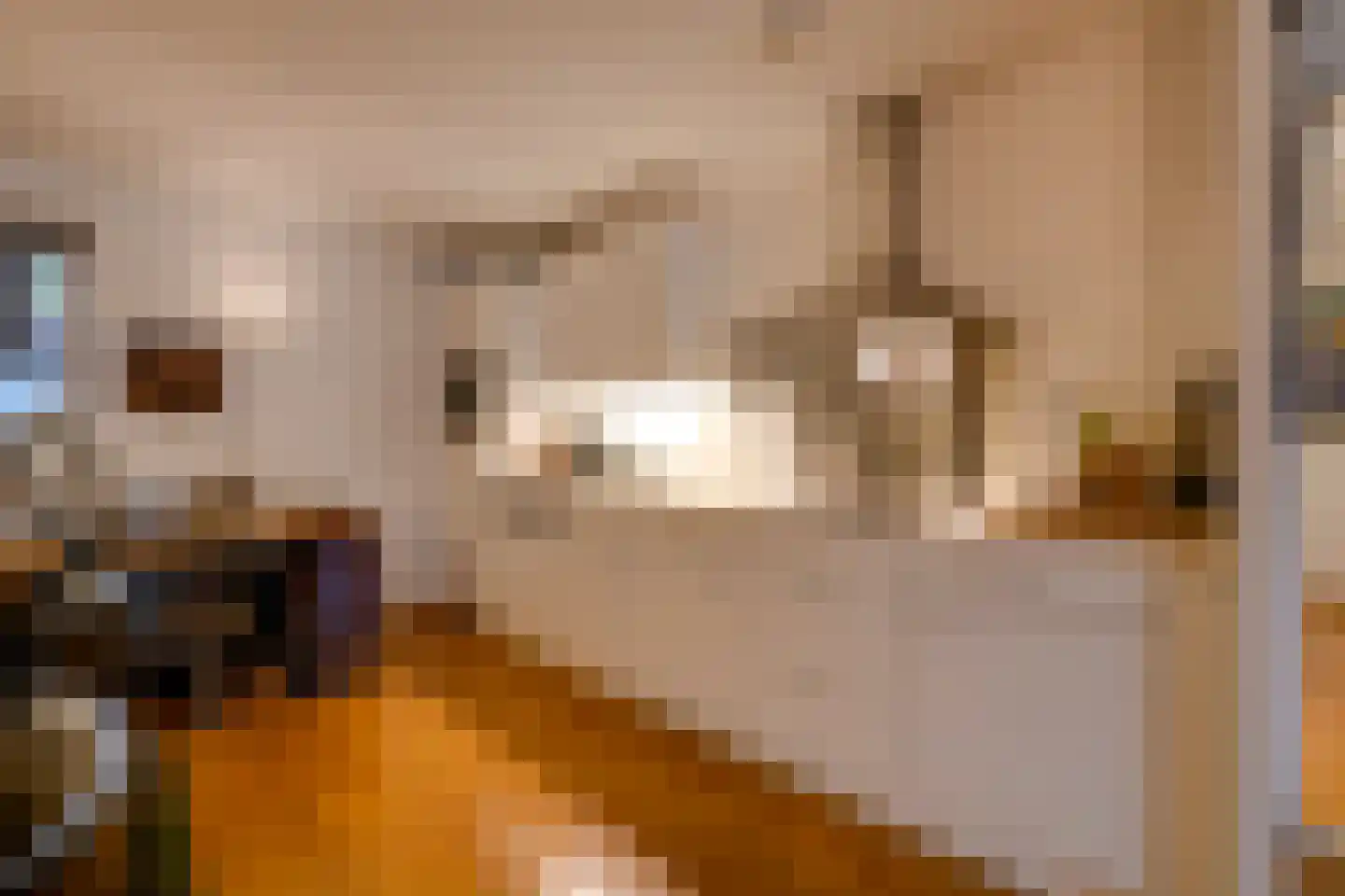 Oudwijk 23 E C Utrecht thumbnail 13